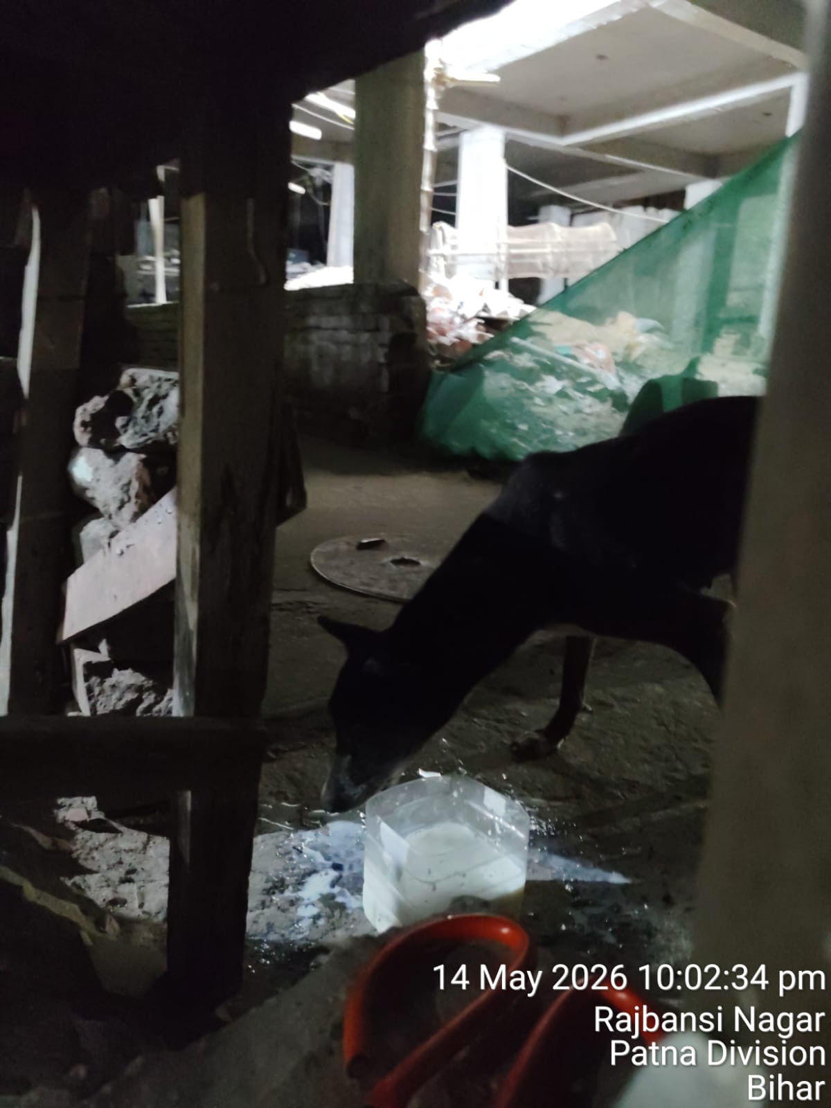 Real-World Impact 4